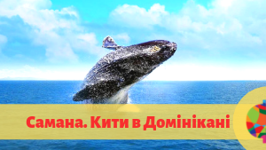 Екскурсії