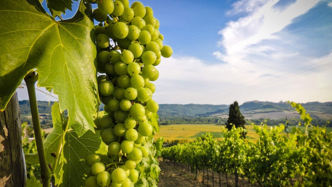 Чарівна неповторна Грузія в супроводі представника Феєрії