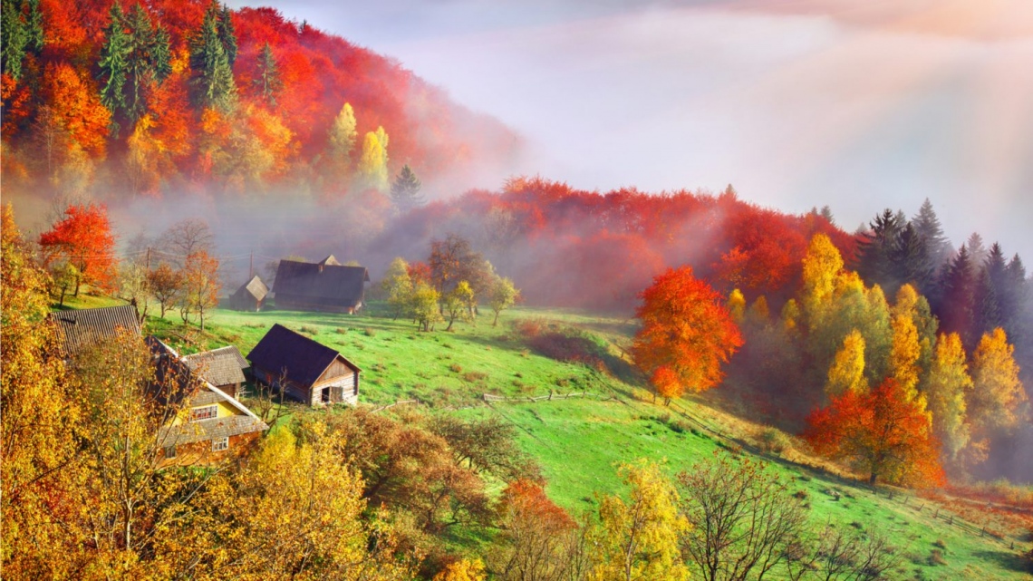 Осінні вихідні в Карпатах (3 дні)