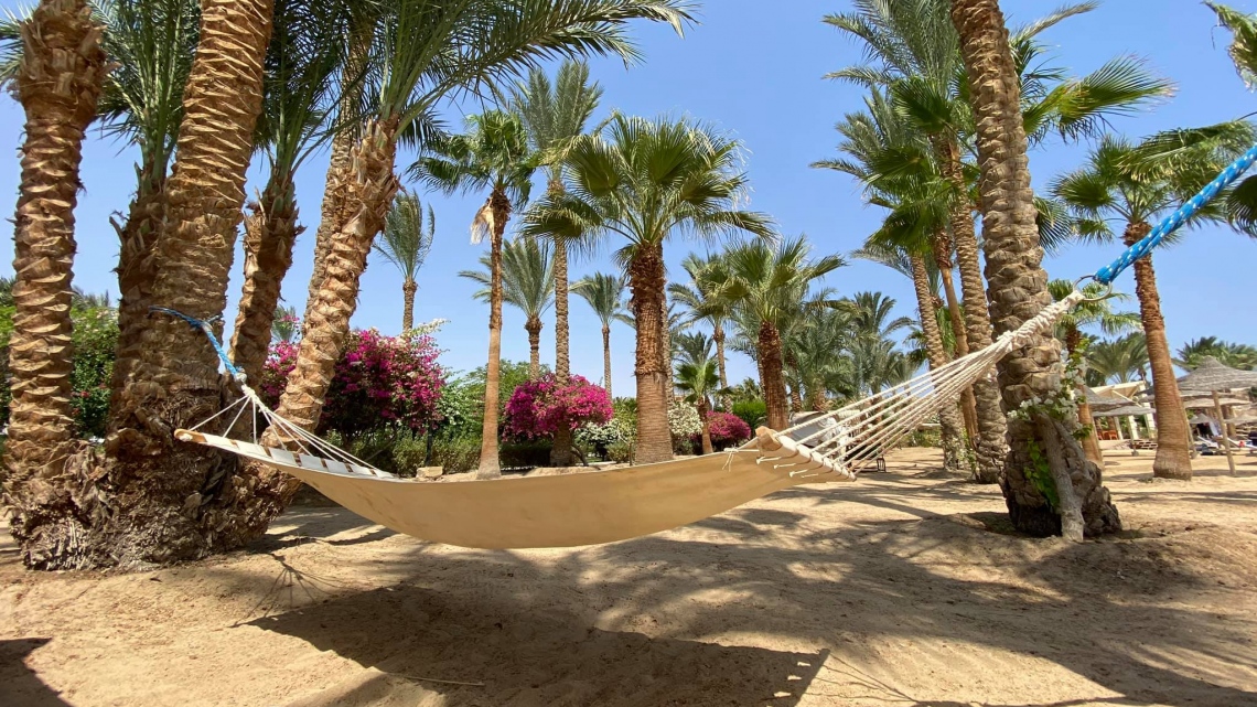 Фантастический Марс: Рай для дайверов (Hilton 5* 4 н. + Fayrouz 5* 3 н.)