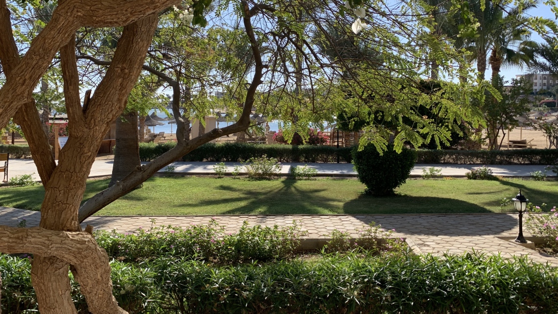 Фантастический Марс: Рай для дайверов (Hilton 5* 4 н. + Brayka Bay 5* 3 н.)