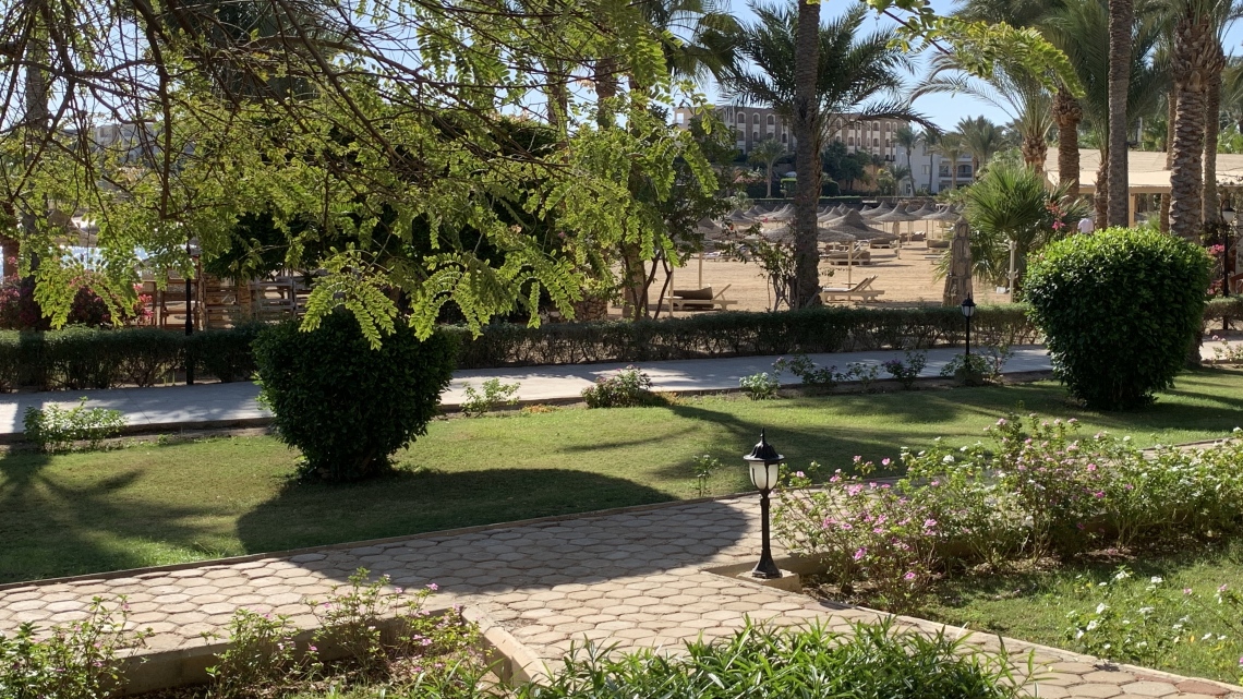 Фантастический Марс: Рай для дайверов (Brayka Bay 5* 4 н. + Hilton 5* 3 н.)