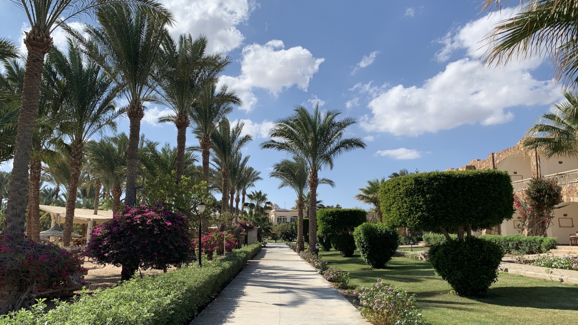 Фантастический Марс: Рай для дайверов (Hilton 5* 4 н. + Brayka Bay 5* 3 н.)