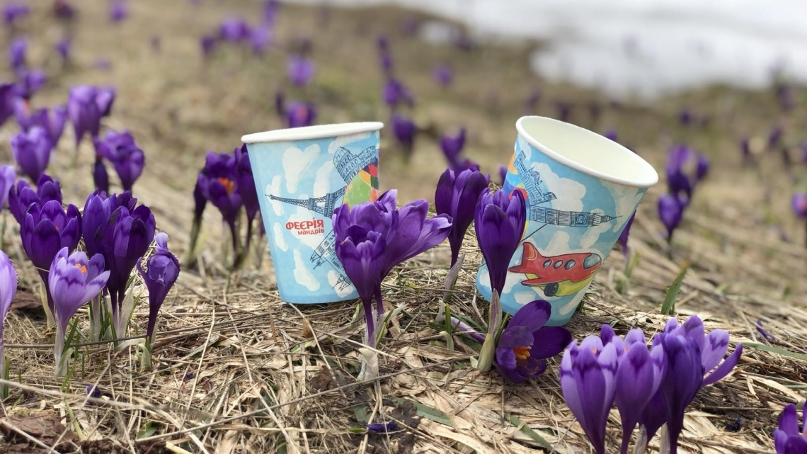 У Карпати за крокусами