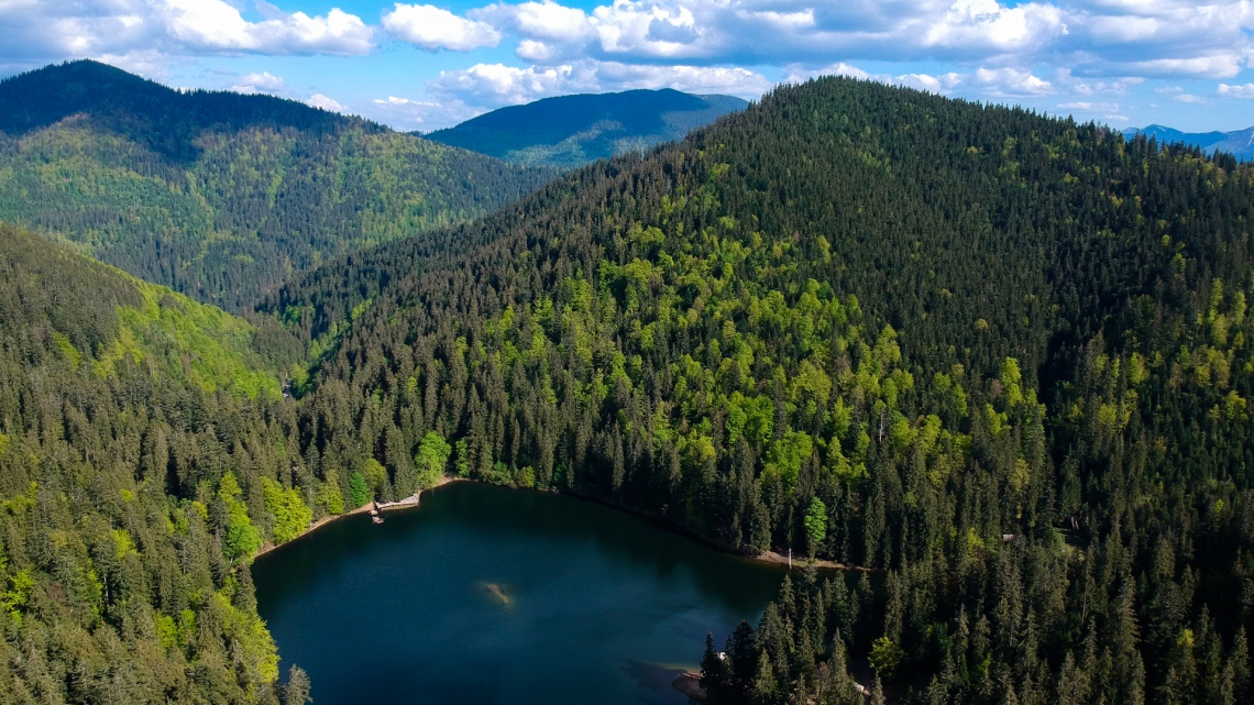 Нарциси, Синевир, Мармароська готика та відпочинок у Велятині