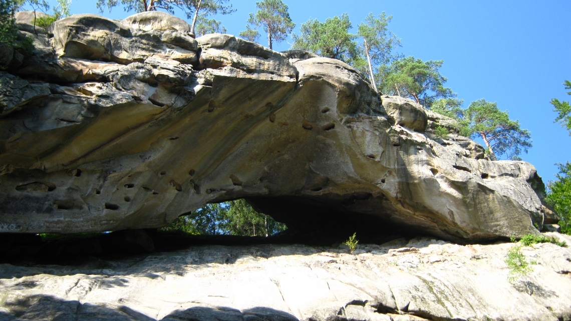 У Карпати за крокусами