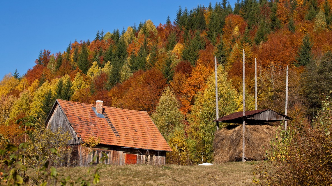 Золото Карпат