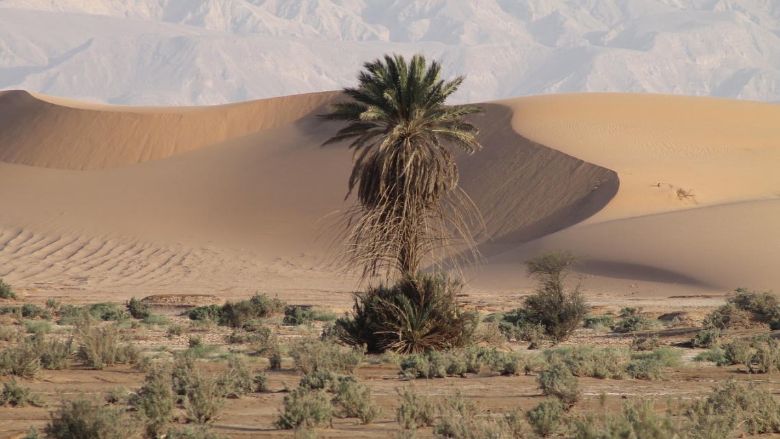 Вся Йорданія з відпочинком на Червоному і Мертвому морях. Груповий тур