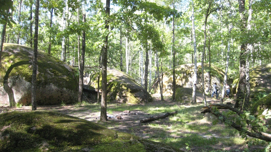 Кам'яне село - цвітіння золотих азалій