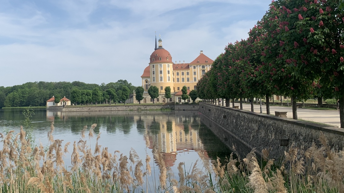 Шампань. Еліксир життя