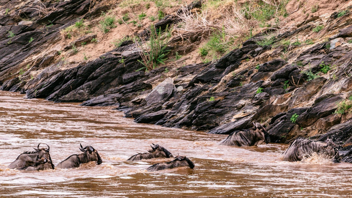 Кенія: Африканський рай