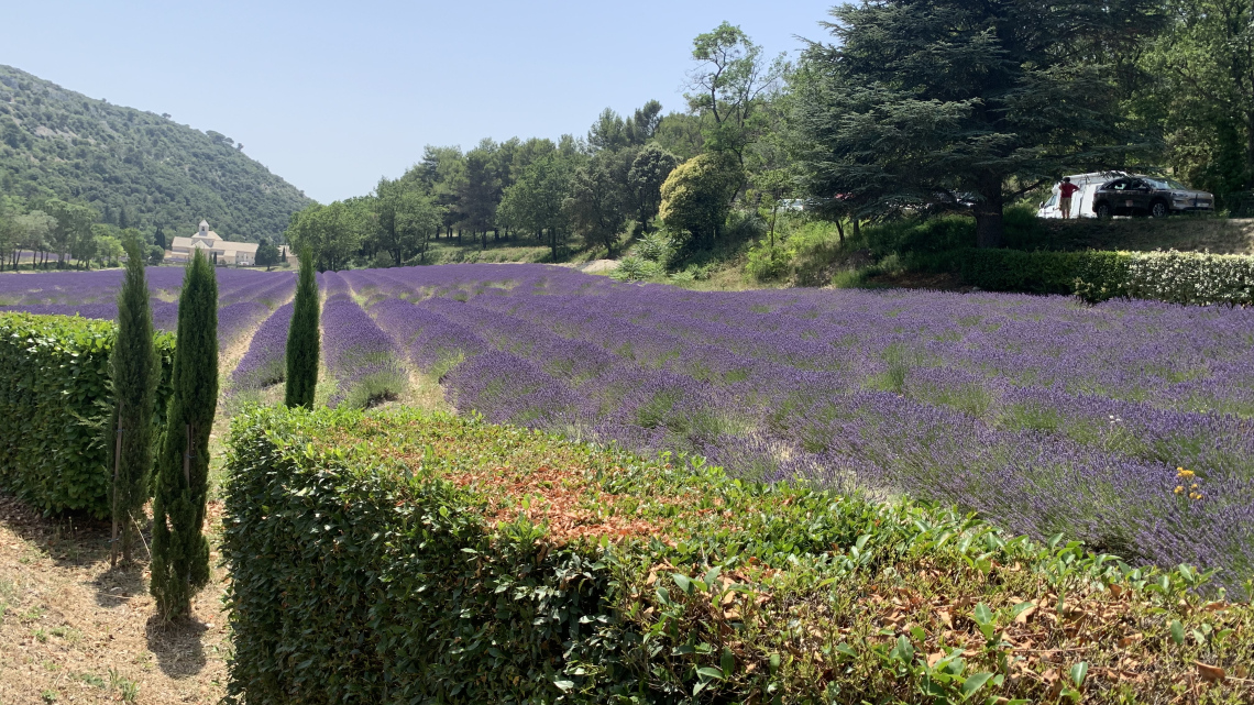 Під сонцем Франції: від Провансу до Парижа. Авіатур