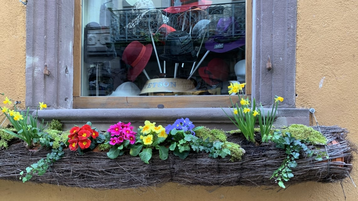 Казкова Франція: Ельзас і Лотарингія. Авіатур