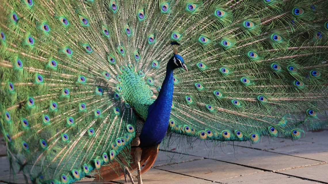 Нефритова імперія. Груповий Гранд-тур до Китаю