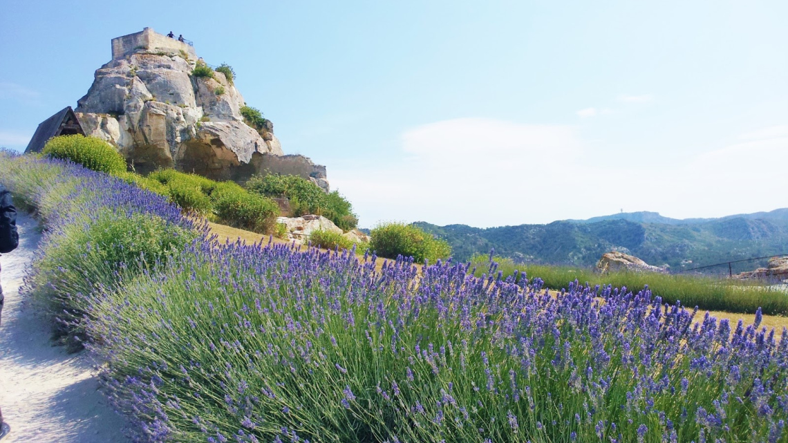 Під сонцем Франції: від Провансу до Парижа. Авіатур