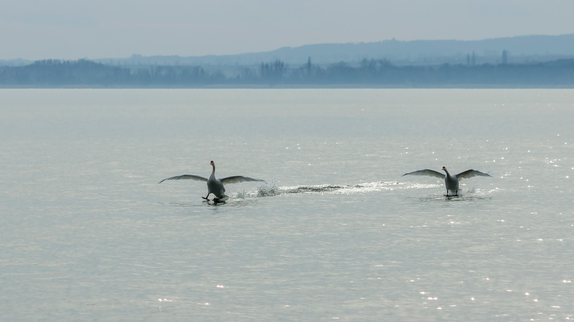 Побачення з Будапештом