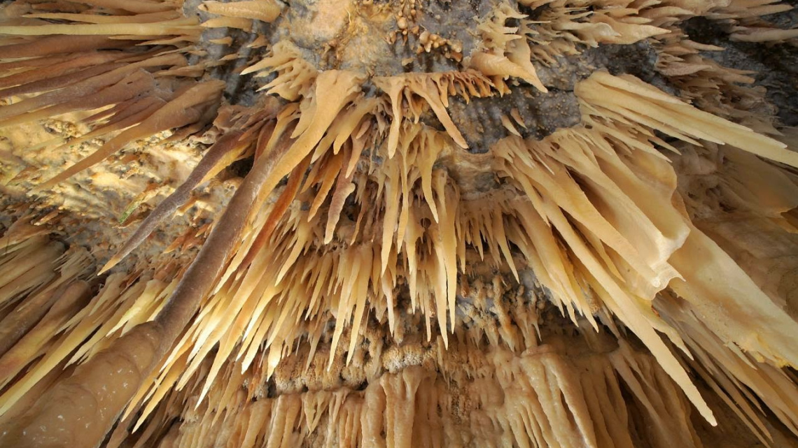 Апулія: стежками оливкових гаїв