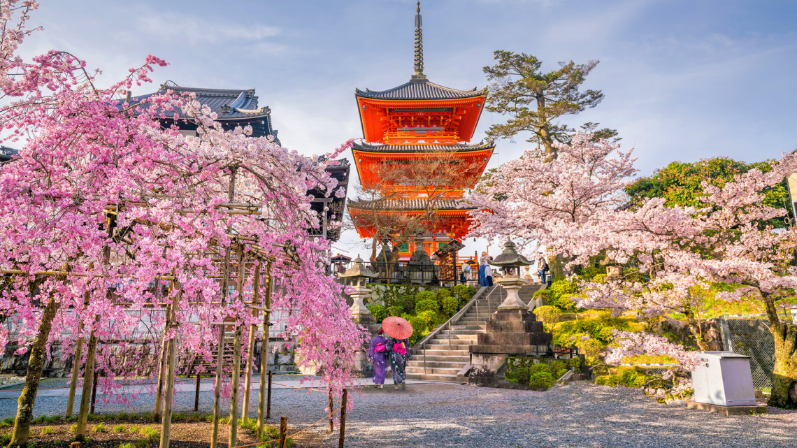 Груповий круїз з Китаю до Японії. Українська група