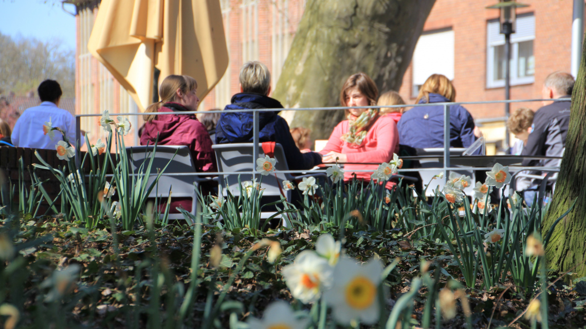 Гарантований тур. Амстердам і тюльпани. Авіатур 