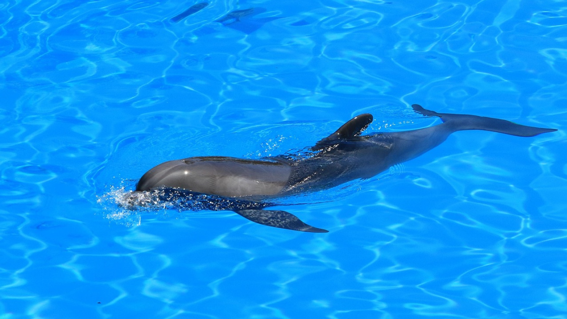 Тенеріфе - острів контрастів