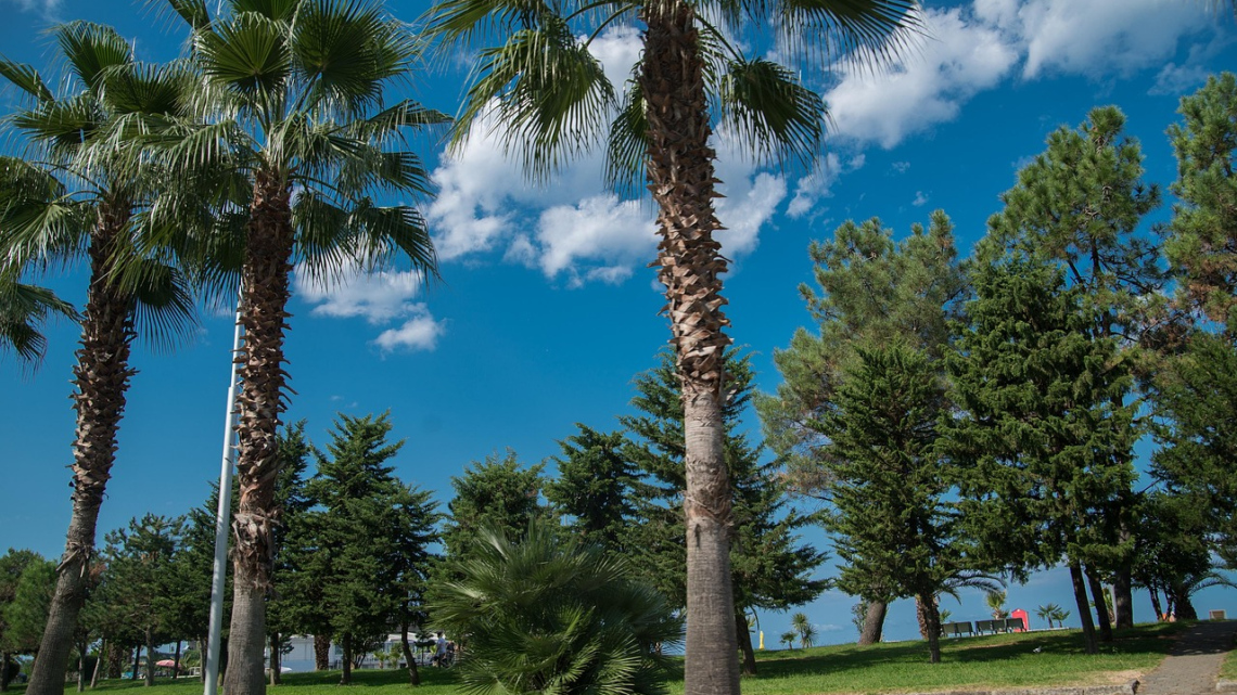 В обіймах сонячної Грузії. Батумі