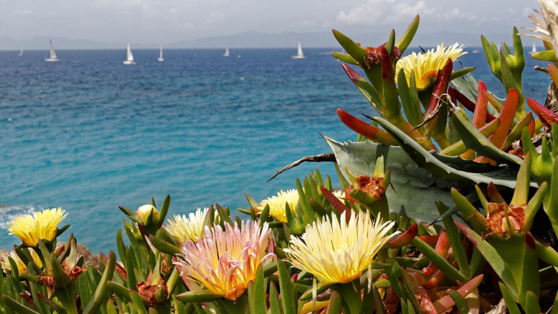 Круїз грецькими островами на лайнері Costa Fortuna у супроводі представника Феєрії