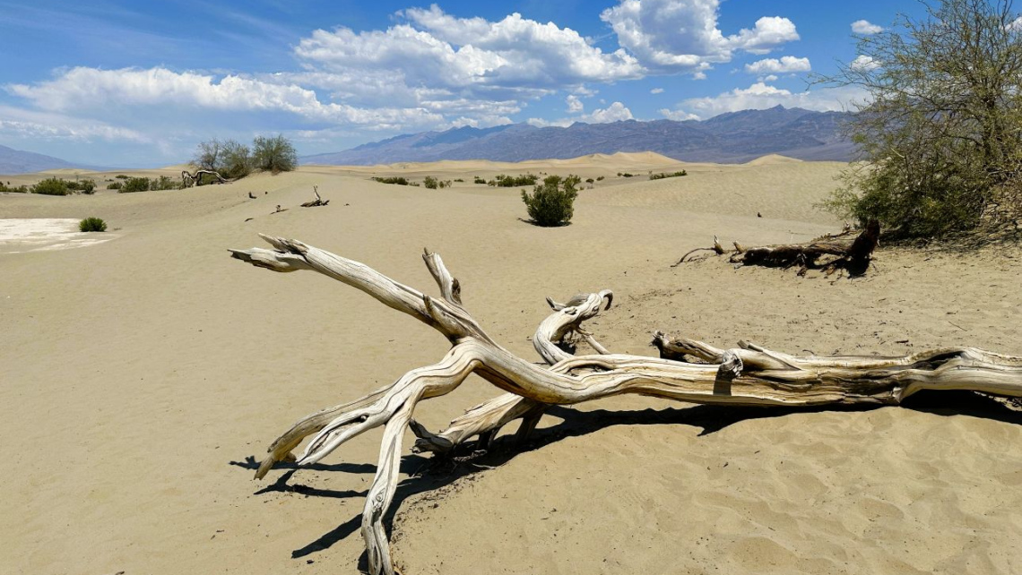 Захід США. Національні парки заходу США від Лос-Анджелеса до Солт-Лейк-Сіті