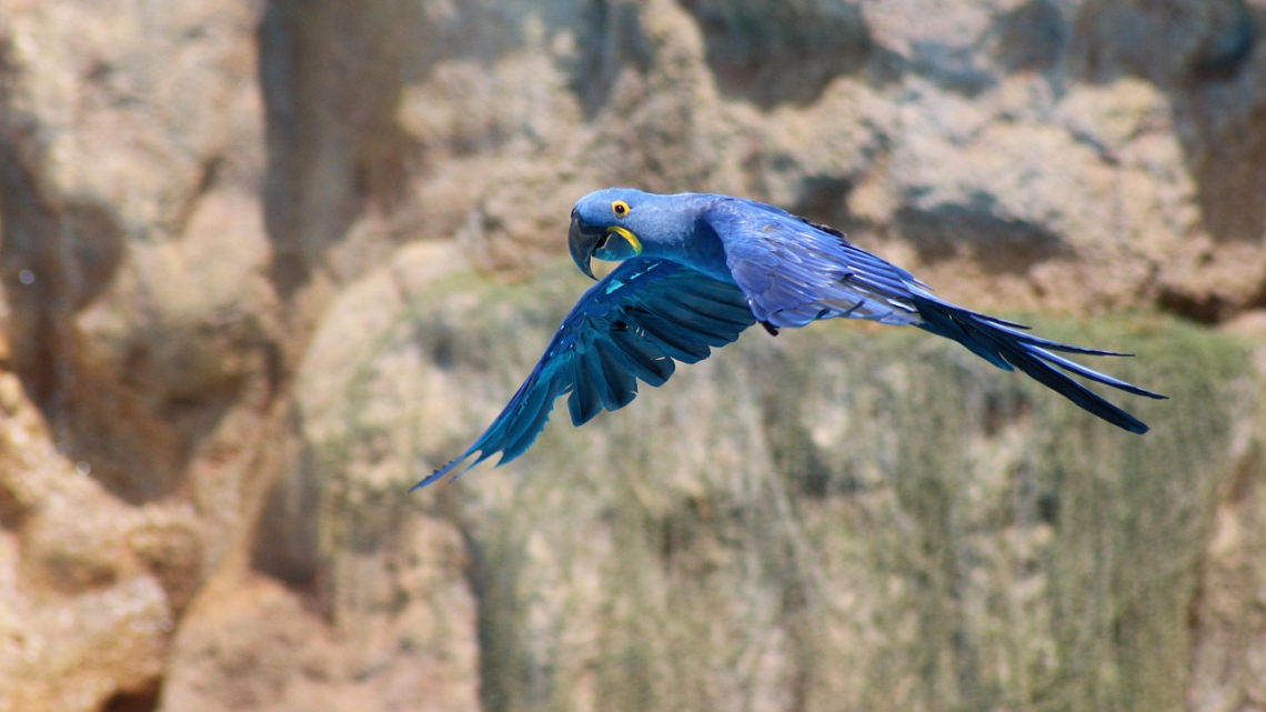 Тенеріфе - острів контрастів