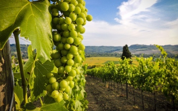 Чарівна неповторна Грузія в супроводі представника Феєрії