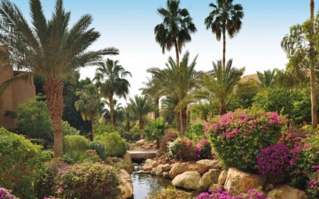 Mövenpick Resort & Spa Dead Sea 5*