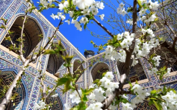 Найповніша подорож Узбекистаном! Відкрито раннє бронювання на весну-2026