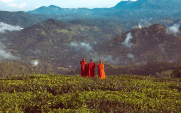Знайомство зі Шрі-Ланкою, аюрведичний та пляжний релакс, знижка 200 доларів, виліт 11.03