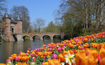 Цепочка туров в Нидерланды и Бельгию! Весенний цветочный рай, Большая Голландия, утонченная Фландрия