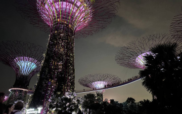 Чарівність Азії: Сінгапур, Індонезія, Малайзія