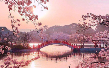 Екзотична Азія - Японія! Шкаємо жіноче підселення, виліт 04.04