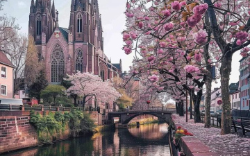 HOT PRICE! Ельзас, перлина Франції - знижка 200 євро, підселення, виліт 04.04