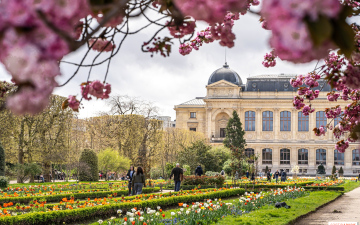 HOT PRICE! Відмовний номер в авторському турі в Париж - знижка 400 євро за номер, виліт 28.03