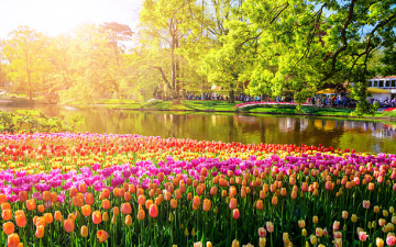 Парк тюльпанів Кекенгоф! Весняні хіти Феєрії, останні місця в турах, знижки до 150 євро