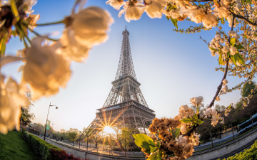HOT PRICE! Тиждень у весняному Парижі - 4 місця за спецціною, є підселення, виїзд 21.03