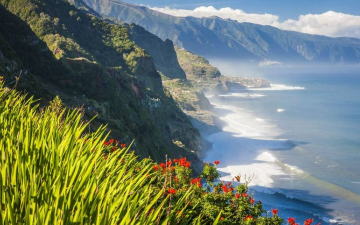  Каникулы на Мадейре, скидка до 100 евро!