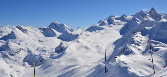 GRANDE ROSIERE 35