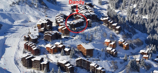 DANDY E35