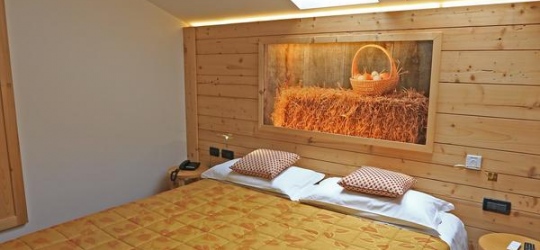 Hotel Ladina 3*
