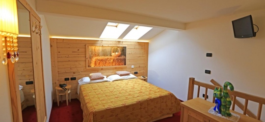 Hotel Ladina 3*
