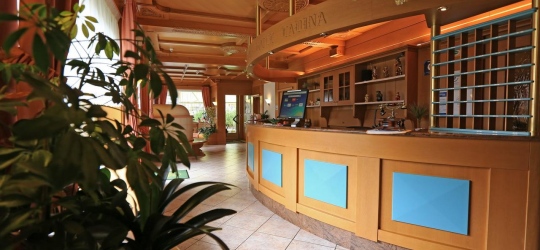 Hotel Ladina 3*