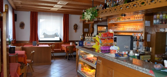 Hotel Ladina 3*