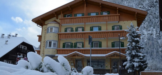 Hotel Ladina 3*