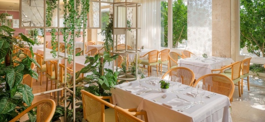 Dalmacija Sunny Hotel by Valamar 3*. Макарска