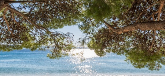 Bluesun hotel Neptun 3*. Тучепи