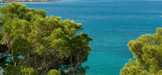 Valamar Meteor Hotel 4*. Макарська